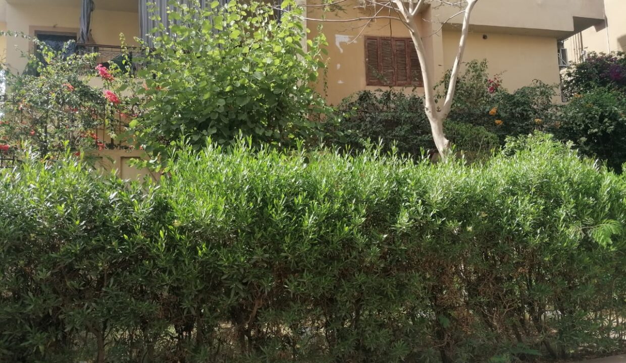 IMG-20230428-WA0006