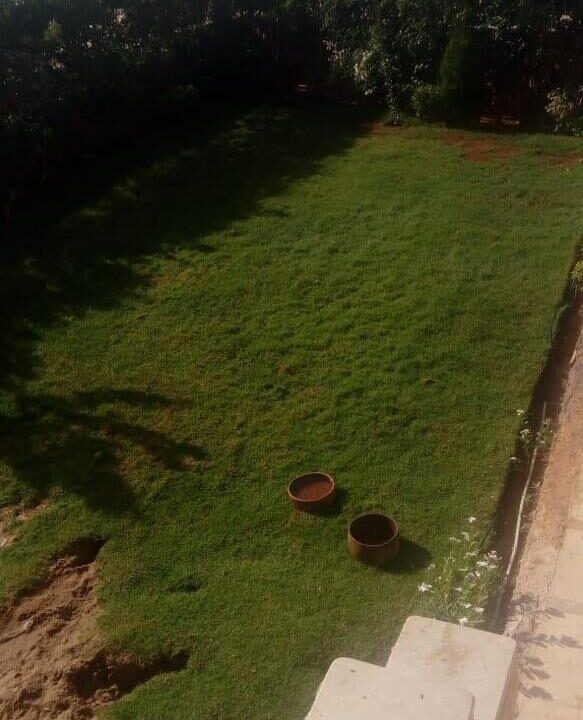 WhatsApp Image 2022-01-20 at 13.07.03