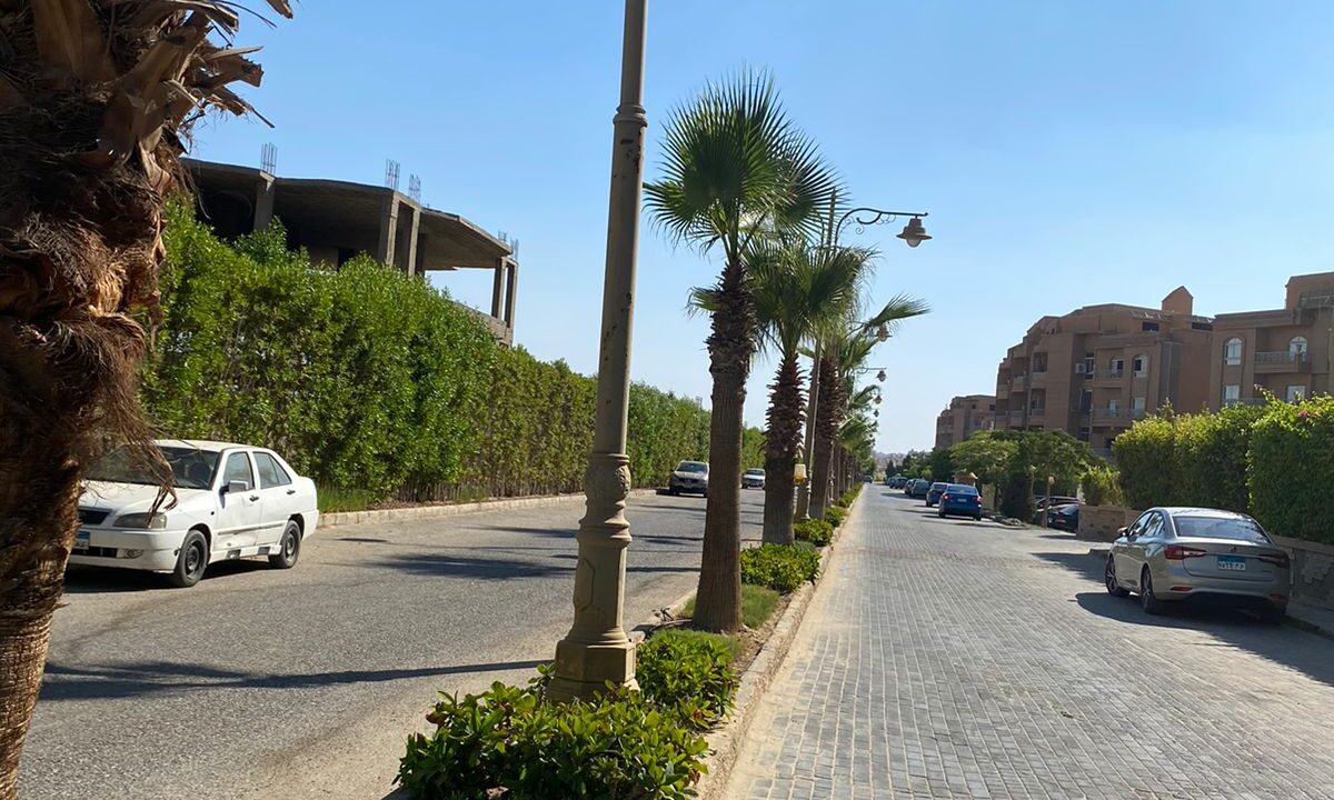 لىالالا (2)