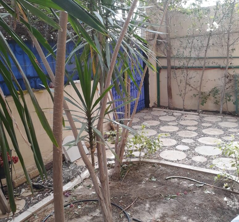 WhatsApp Image 2023-08-14 at 11.20.27 AM